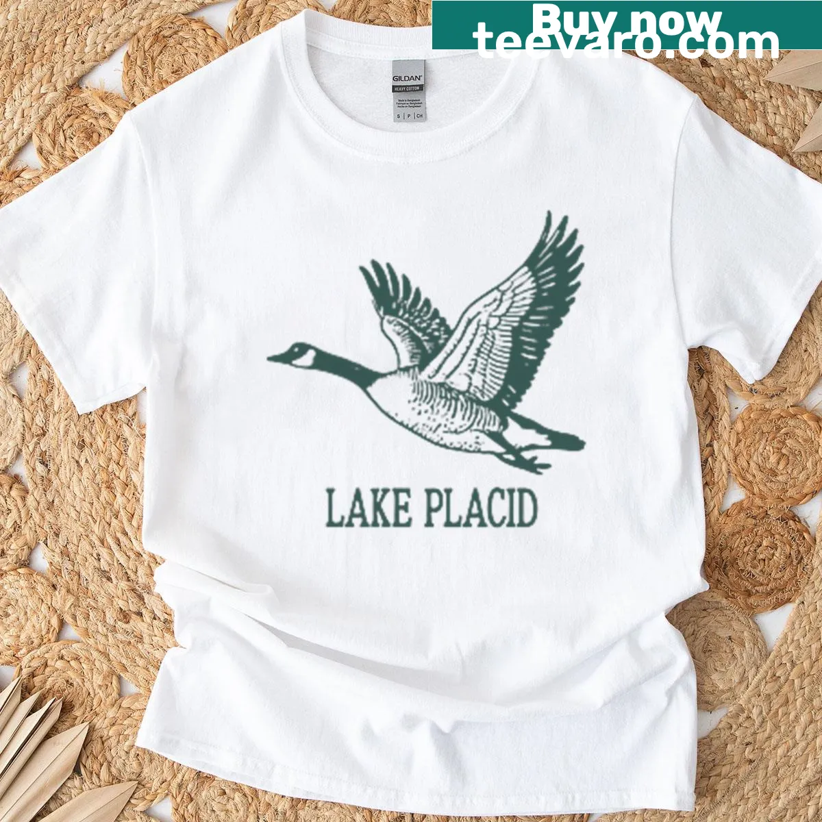 Vintage-style T-shirt featuring Lake Placid outdoor theme — on a men's t-shirt