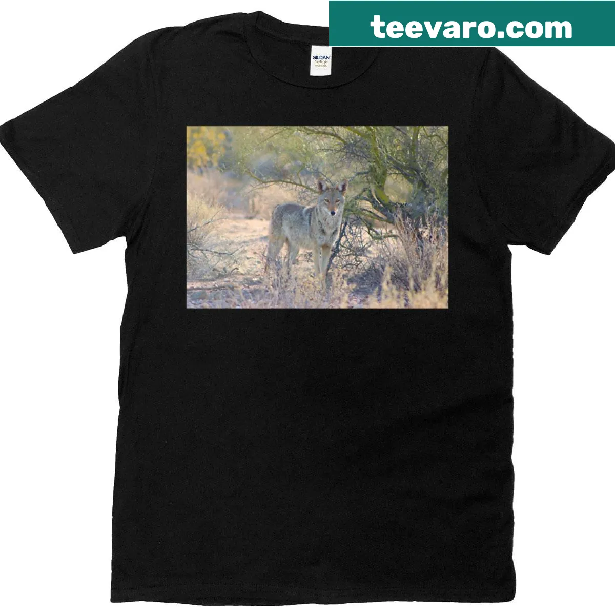 Realistic coyote graphic on t-shirt looking at viewer — on a men's t-shirt