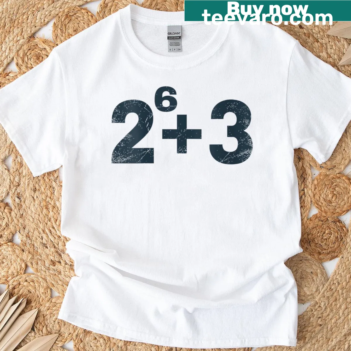 Funny teacher T-shirt for a 67th birthday celebration — on a men's t-shirt