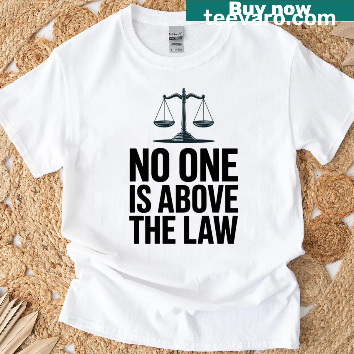 Sarcastic T-shirt with the phrase 'No One Is Above The Law' — on a men's t-shirt
