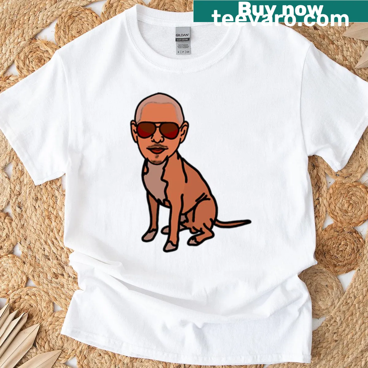 T-shirt featuring a friendly pitbull graphic — on a men's t-shirt