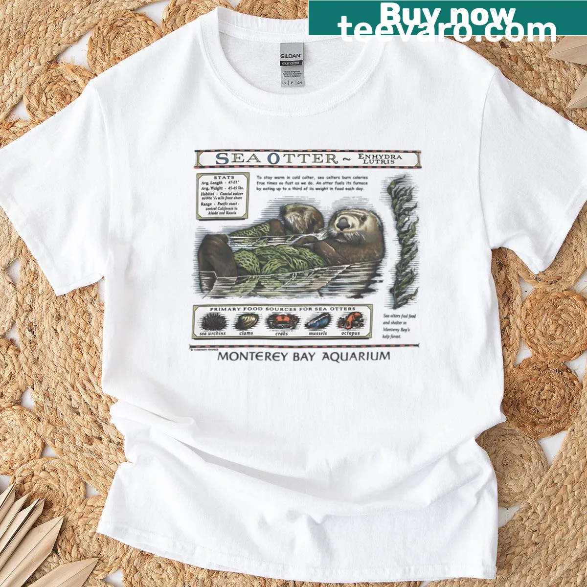 Monterey Bay Aquarium Otter T-shirt with playful otter illustration — on a men's t-shirt