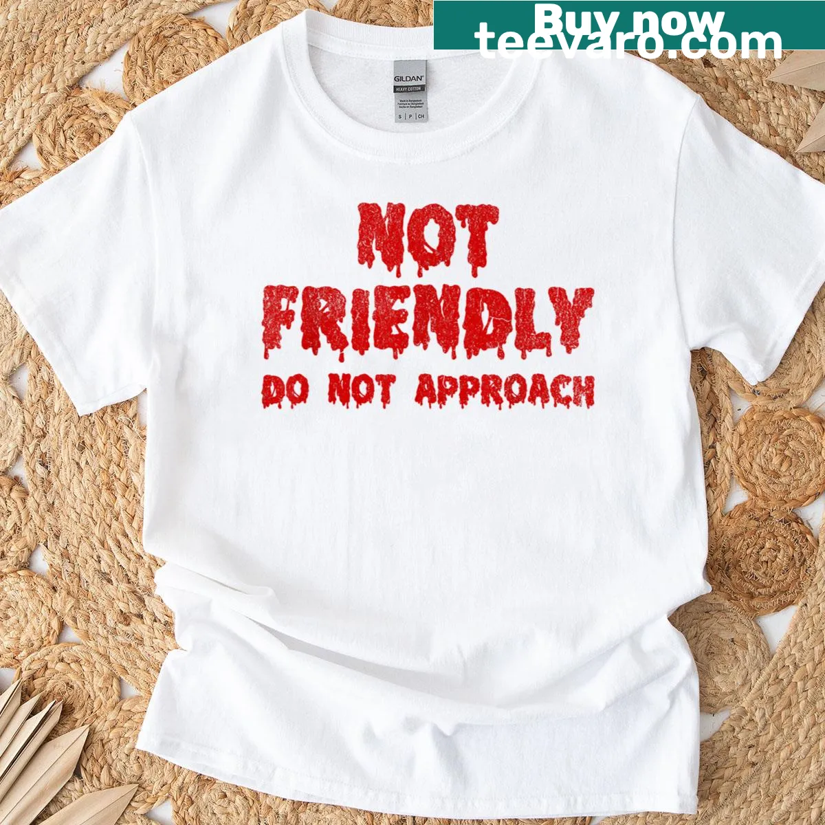Sarcastic t-shirt with the phrase 'Not Friendly Do Not Approach' — on a men's t-shirt