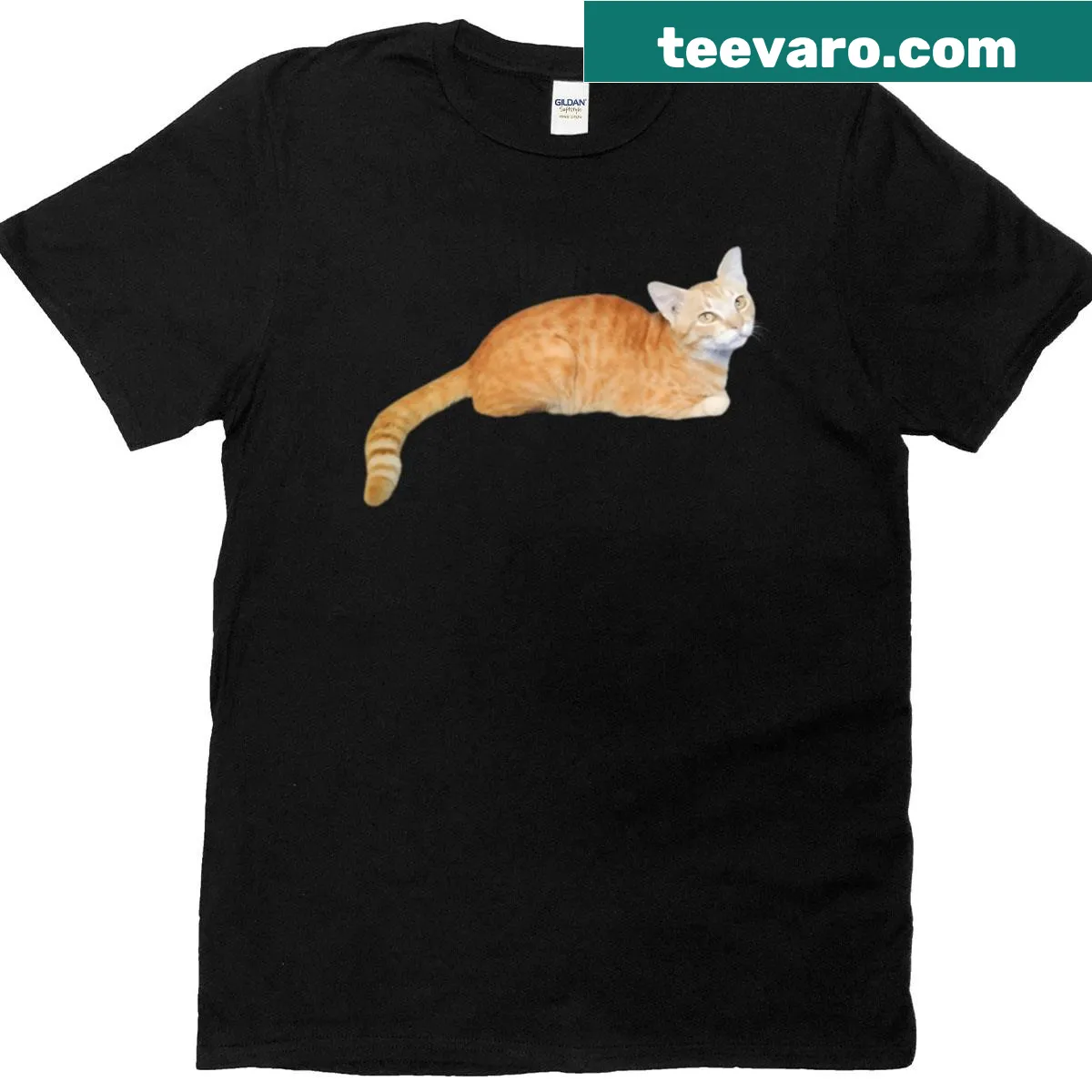 Adorable orange cat graphic on t-shirt — on a men's t-shirt