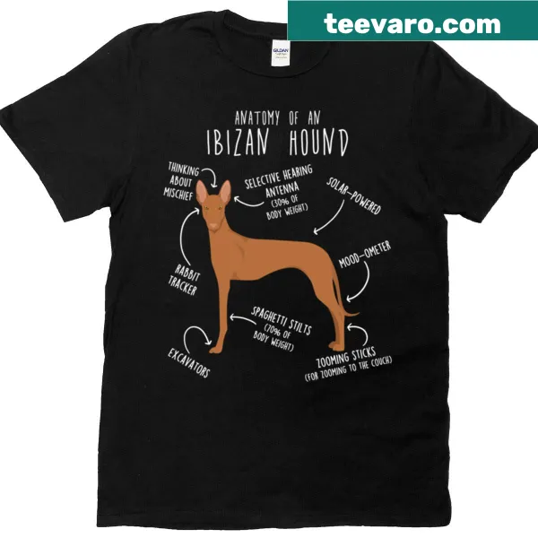 Illustrative anatomy design of an Ibizan Hound dog