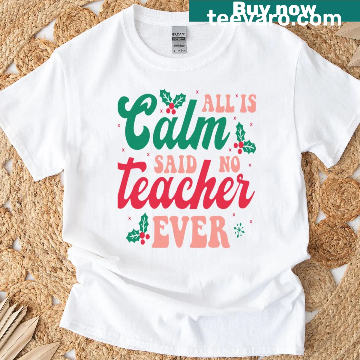 Funny t-shirt with the quote about teaching chaos — on a men's t-shirt