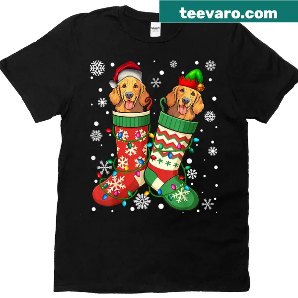 Golden Retriever dog dressed in Christmas socks on a t-shirt