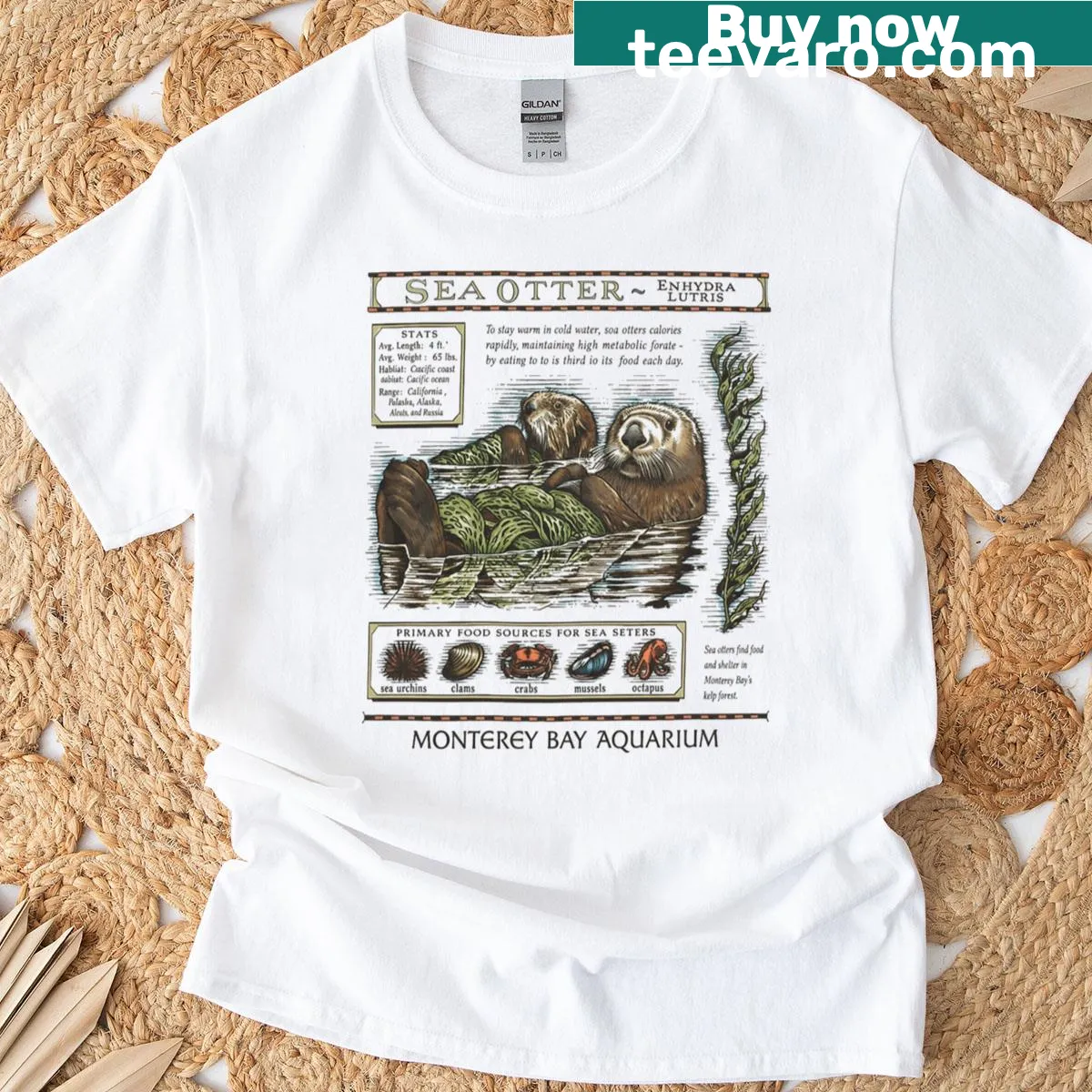 Vintage-style t-shirt featuring a playful sea otter on a kelp raft — on a men's t-shirt