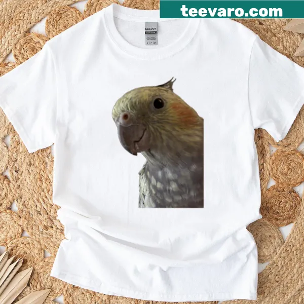 Illustration of Gussy the bird on T-shirt