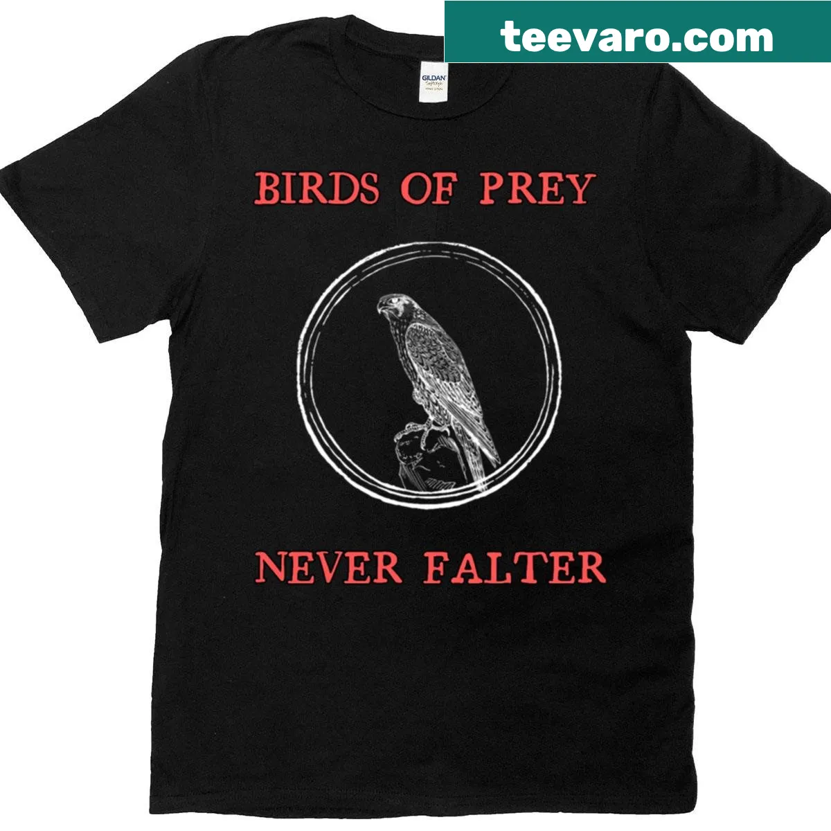 Illustrated t-shirt depicting birds of prey in flight — on a men's t-shirt
