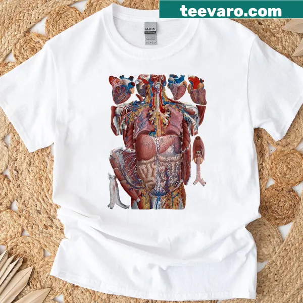 Vintage anatomical charts T-shirt depicting human body organ systems