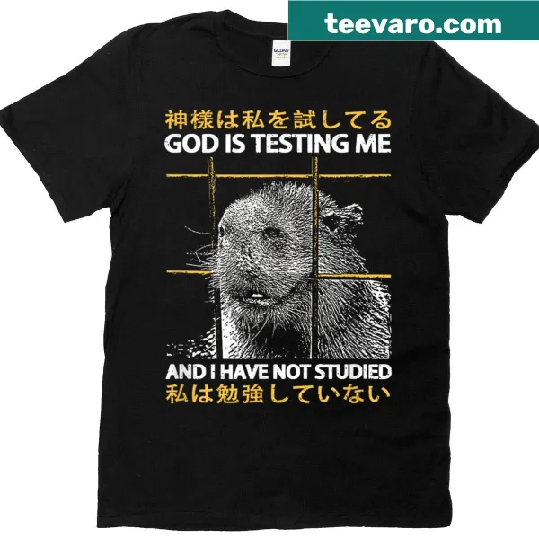 Funny capybara graphic shirt about faith
