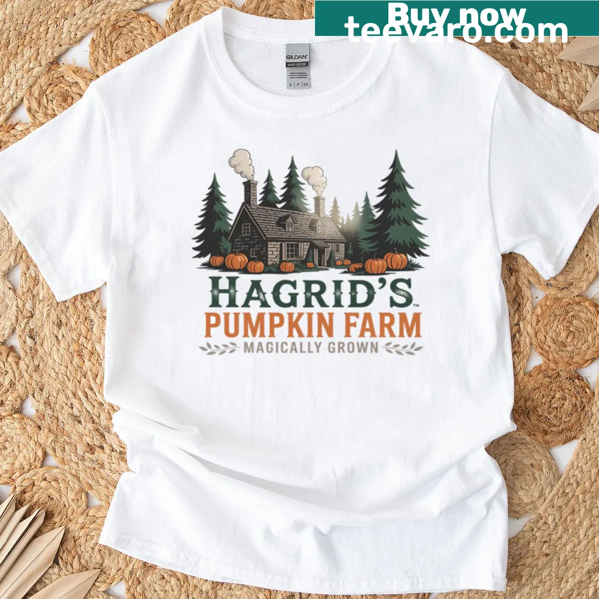 Hagrids Pumpkin Farm Halloween T-shirt with whimsical design — on a men's t-shirt