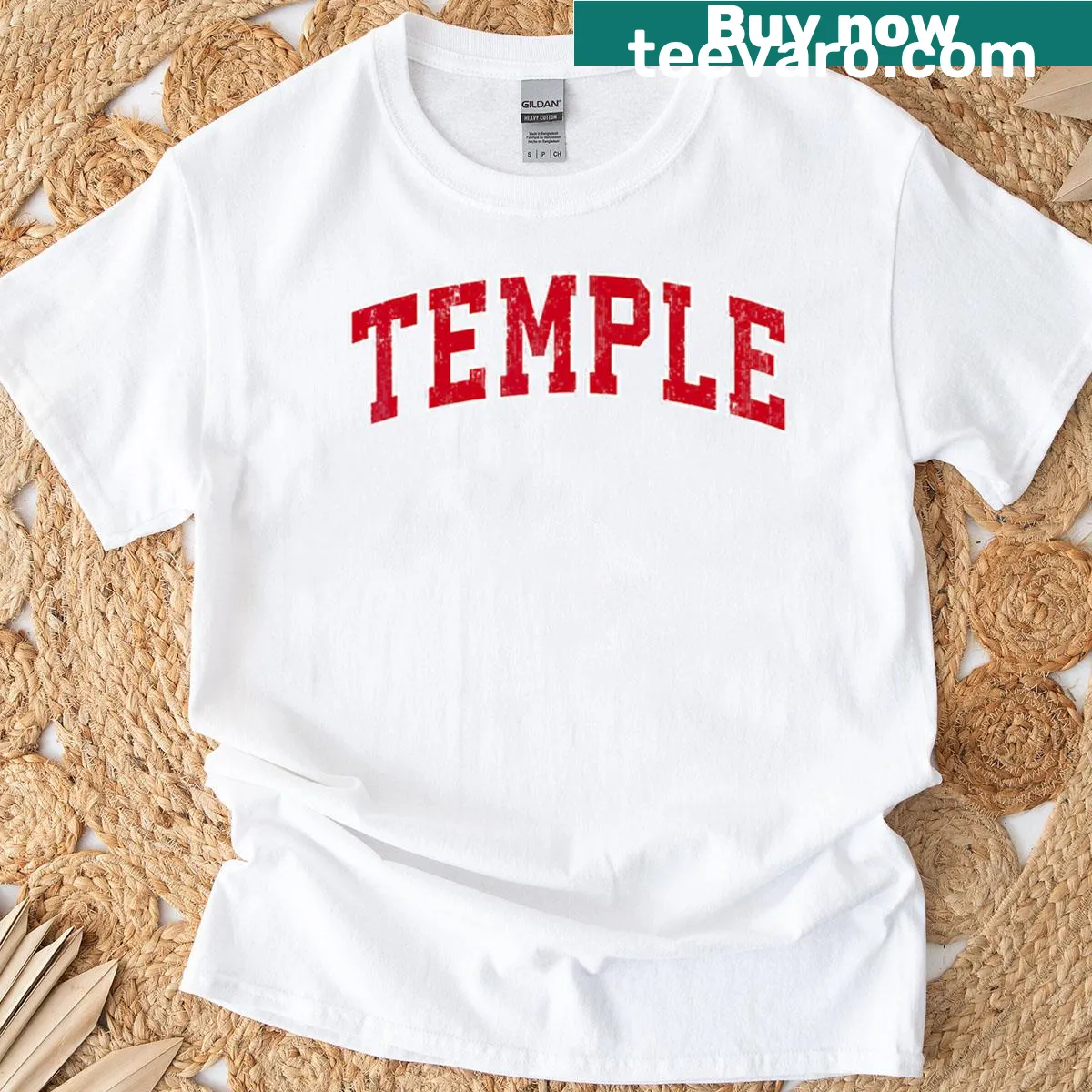 Vintage sports graphic T-shirt from Temple, Texas — on a men's t-shirt