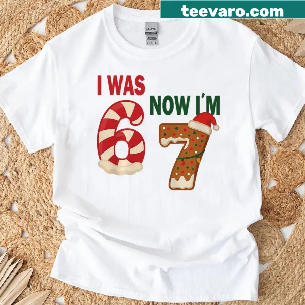 Meme-inspired t-shirt celebrating a 7th birthday with humorous text