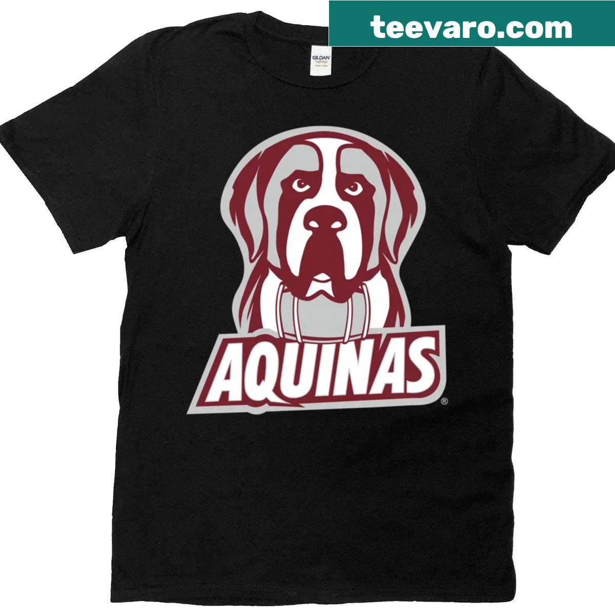 Aquinas College Saints primary logo T-shirt — on a men's t-shirt