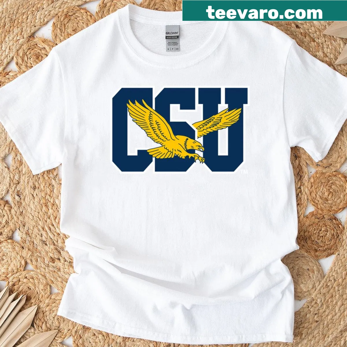 Coppin State University Eagles logo graphic on a t-shirt — on a men's t-shirt