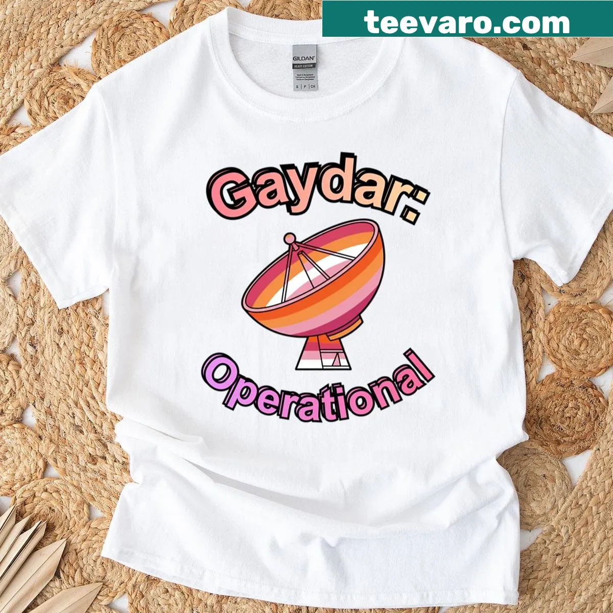 Lesbian flag design with a gaydar joke on a T-shirt — on a men's t-shirt