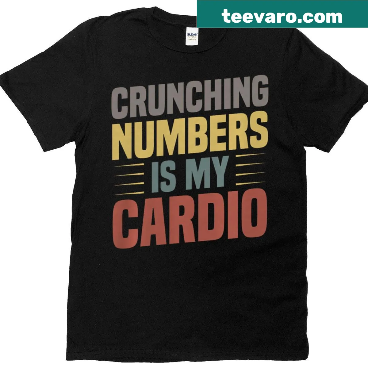 Funny accountant T-shirt with humorous text — on a men's t-shirt