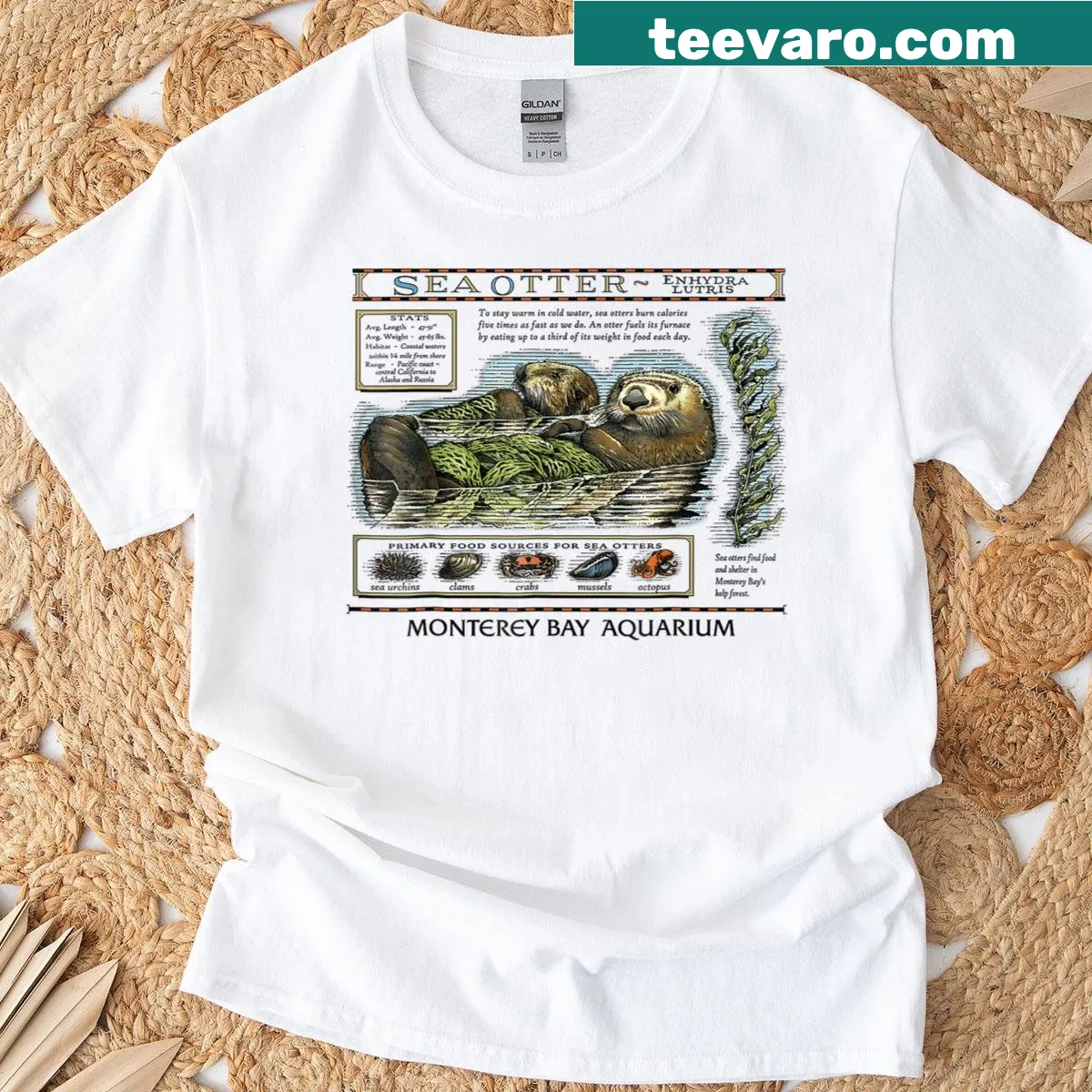Illustrated t-shirt featuring sea otters and Monterey, California theme — on a men's t-shirt