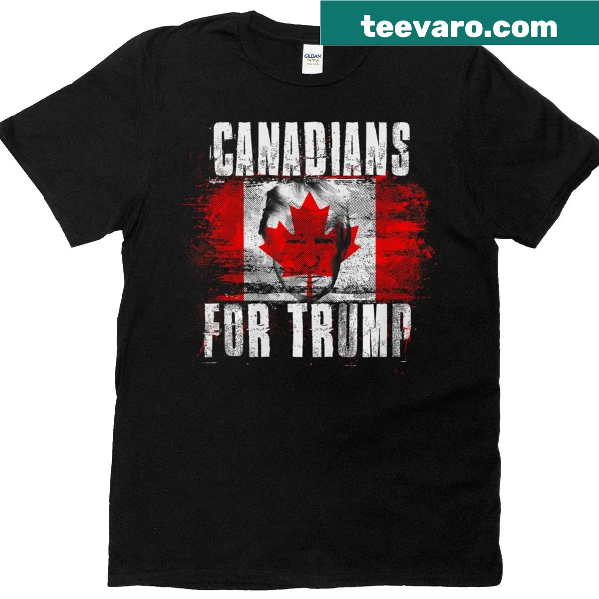Patriotic t-shirt featuring Canadian and American flags with bold text — on a men's t-shirt