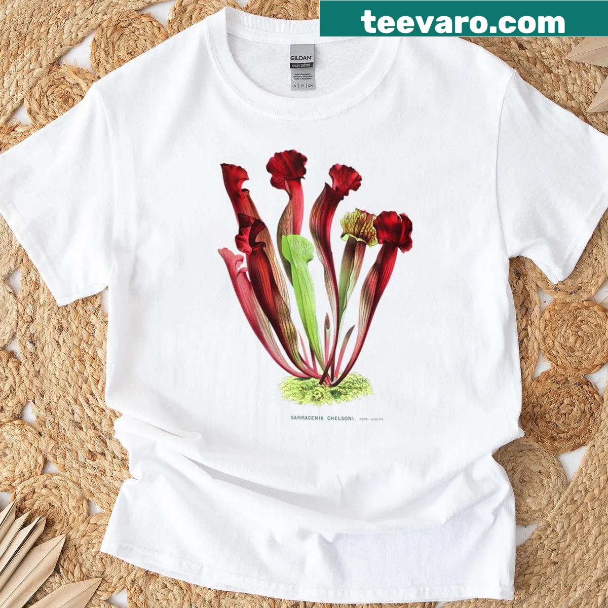 Illustration of a Sarracenia pitcher plant on a T-shirt — on a men's t-shirt