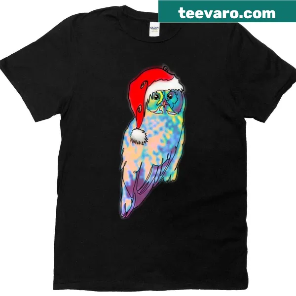 Cute pastel owl in Santa hat illustration on T-shirt