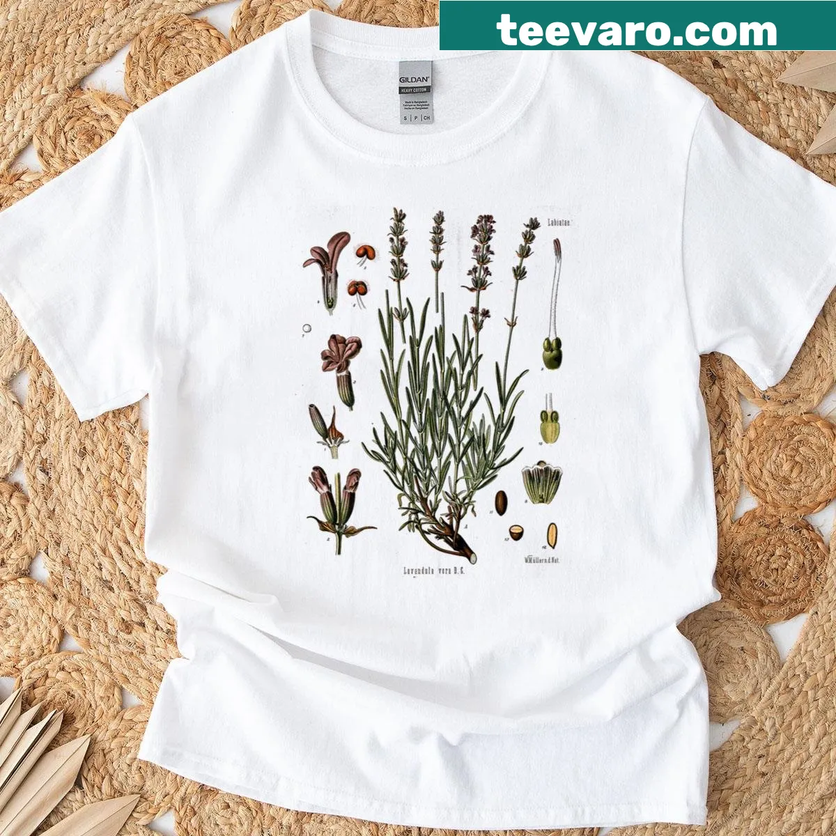 Lavender plant illustration on a botanical print t-shirt — on a men's t-shirt