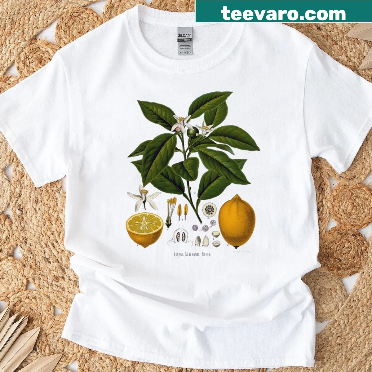 Botanical lemon plant design on a vintage-style t-shirt. — on a men's t-shirt