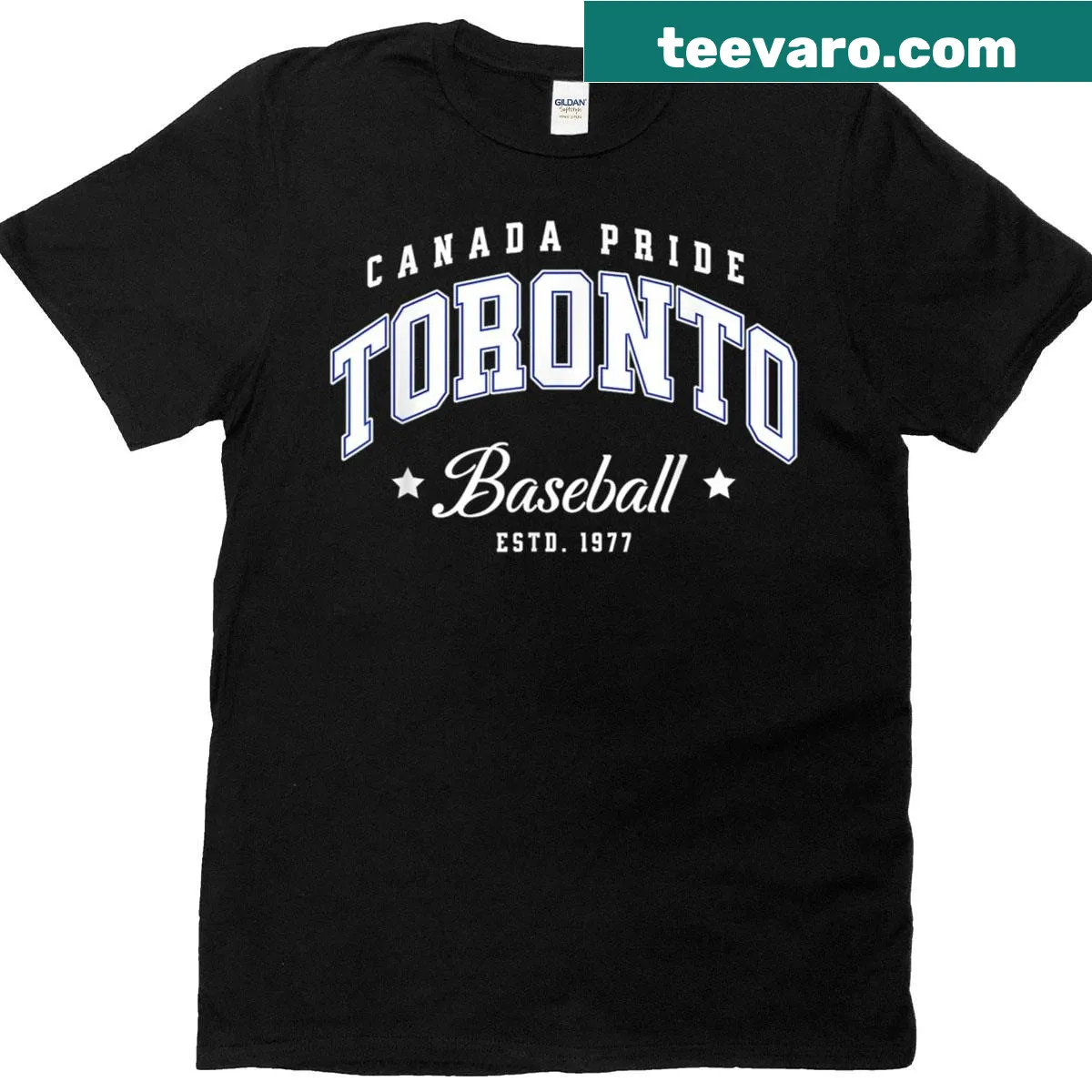 Toronto baseball graphic celebrating winning spirits for kids — on a men's t-shirt