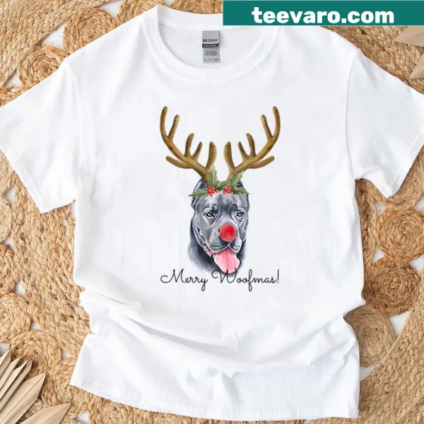 Golden retriever wearing sunglasses on a playful t-shirt