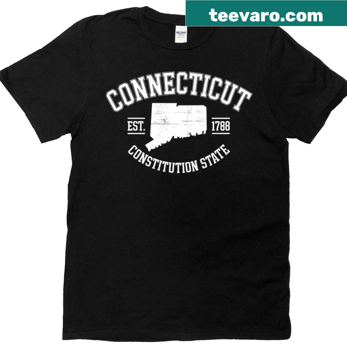 Connecticut sports-themed T-shirt in fitted scoop style — on a men's t-shirt