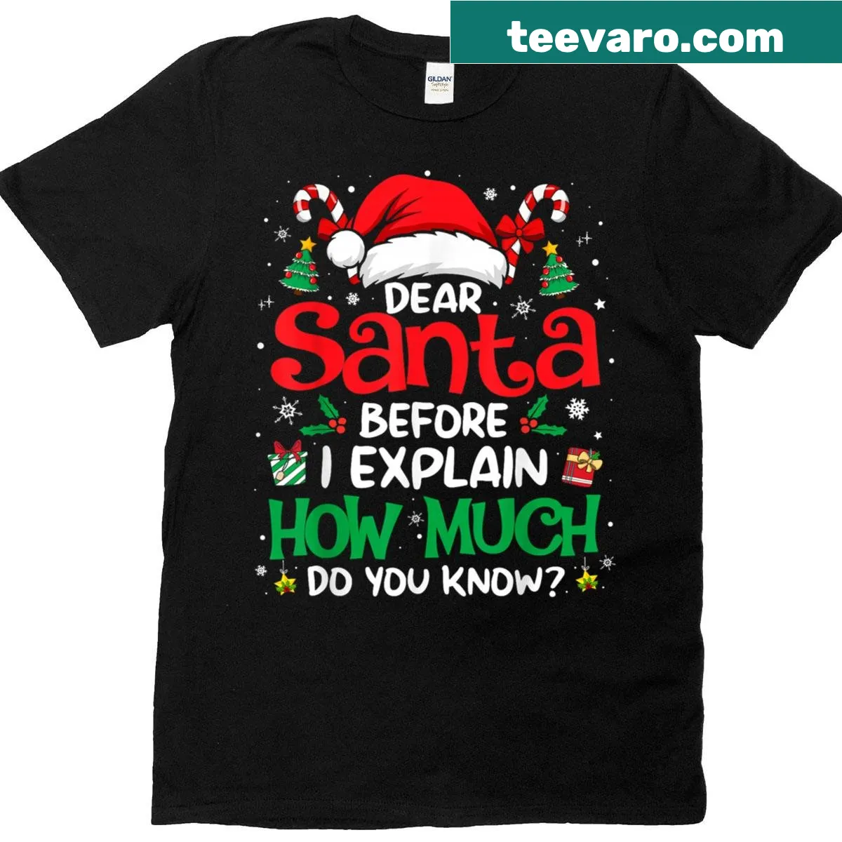 Funny Christmas tee with text 'Dear Santa I Can Explain' for all ages — on a men's t-shirt