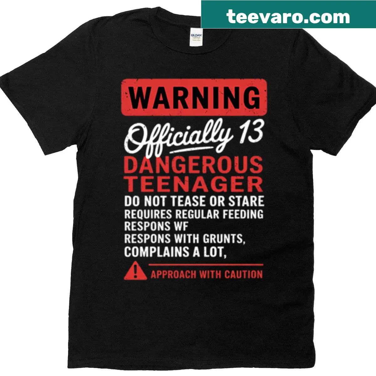 T-shirt for 13th birthday with 'Official Teenager' text — on a men's t-shirt