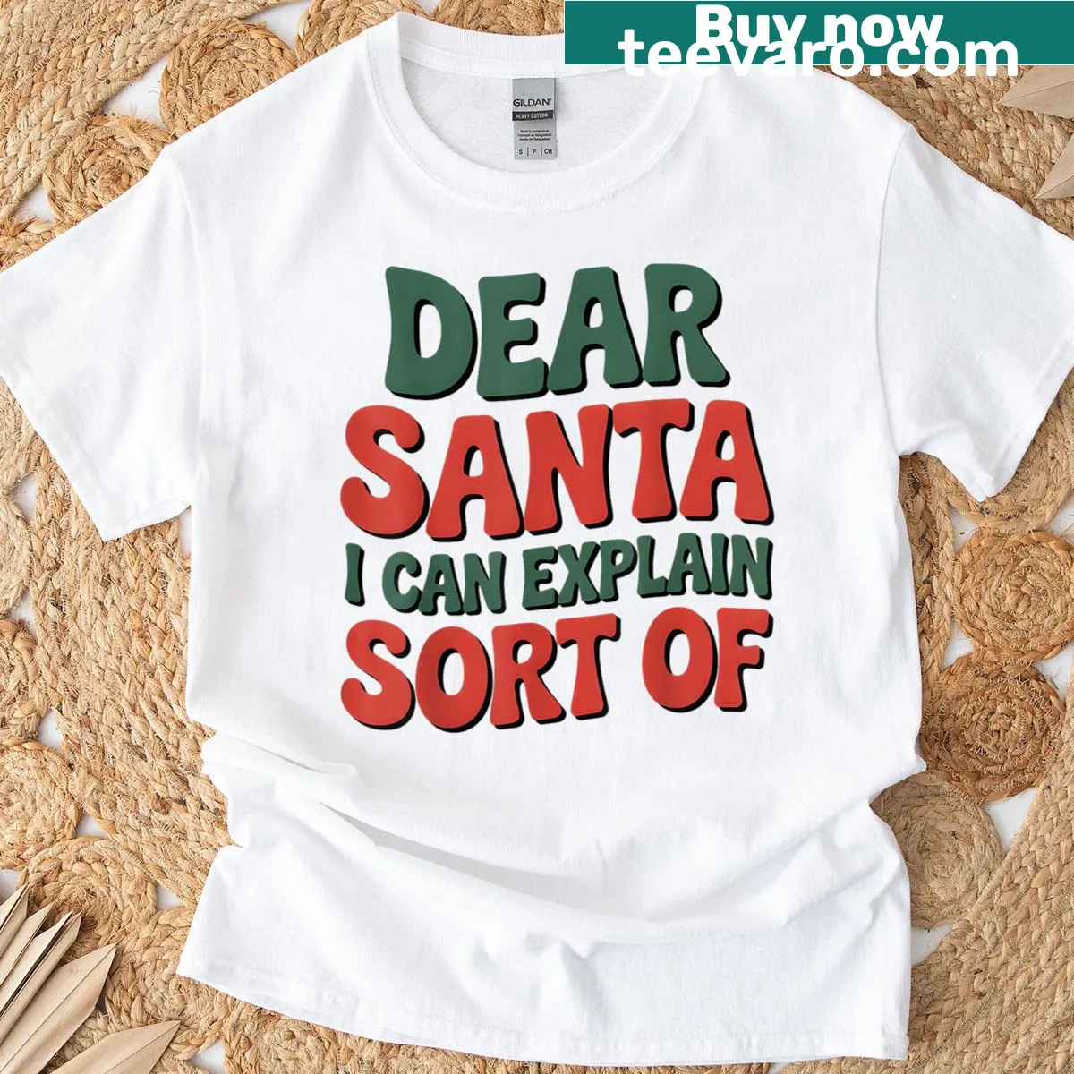 Funny Dear Santa I Can Explain T-shirt with humorous message — on a men's t-shirt