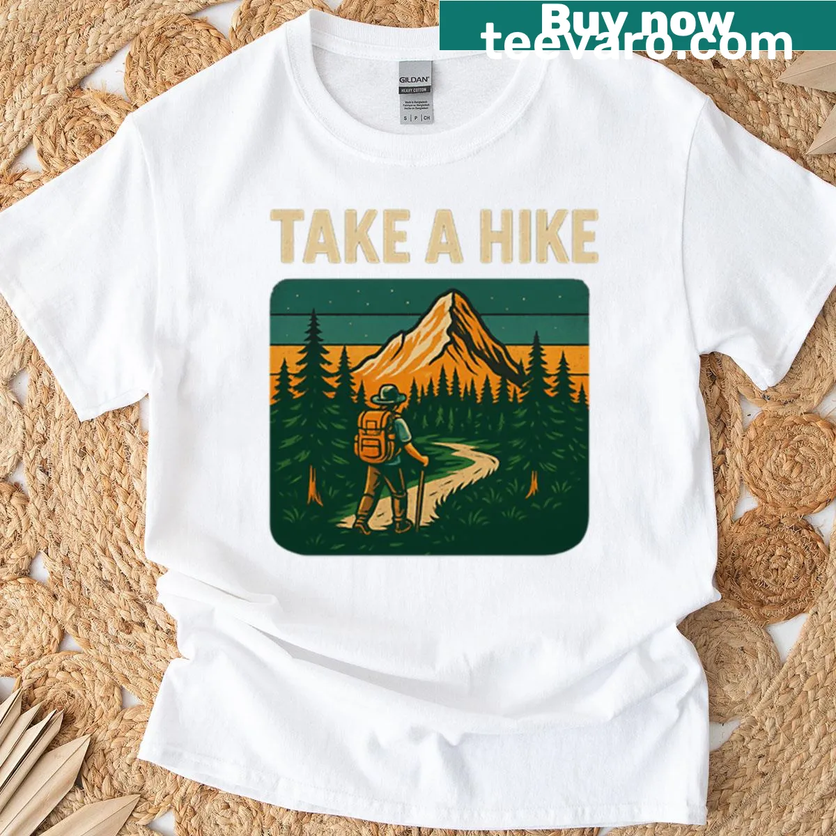 Retro mountain hiking T-shirt with 'Take A Hike' text — on a men's t-shirt