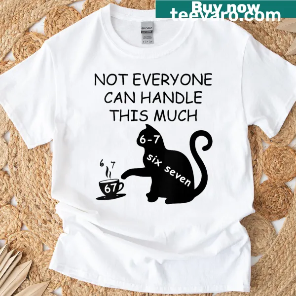 Funny teacher T-shirt with cat and phrases about grades 6-7
