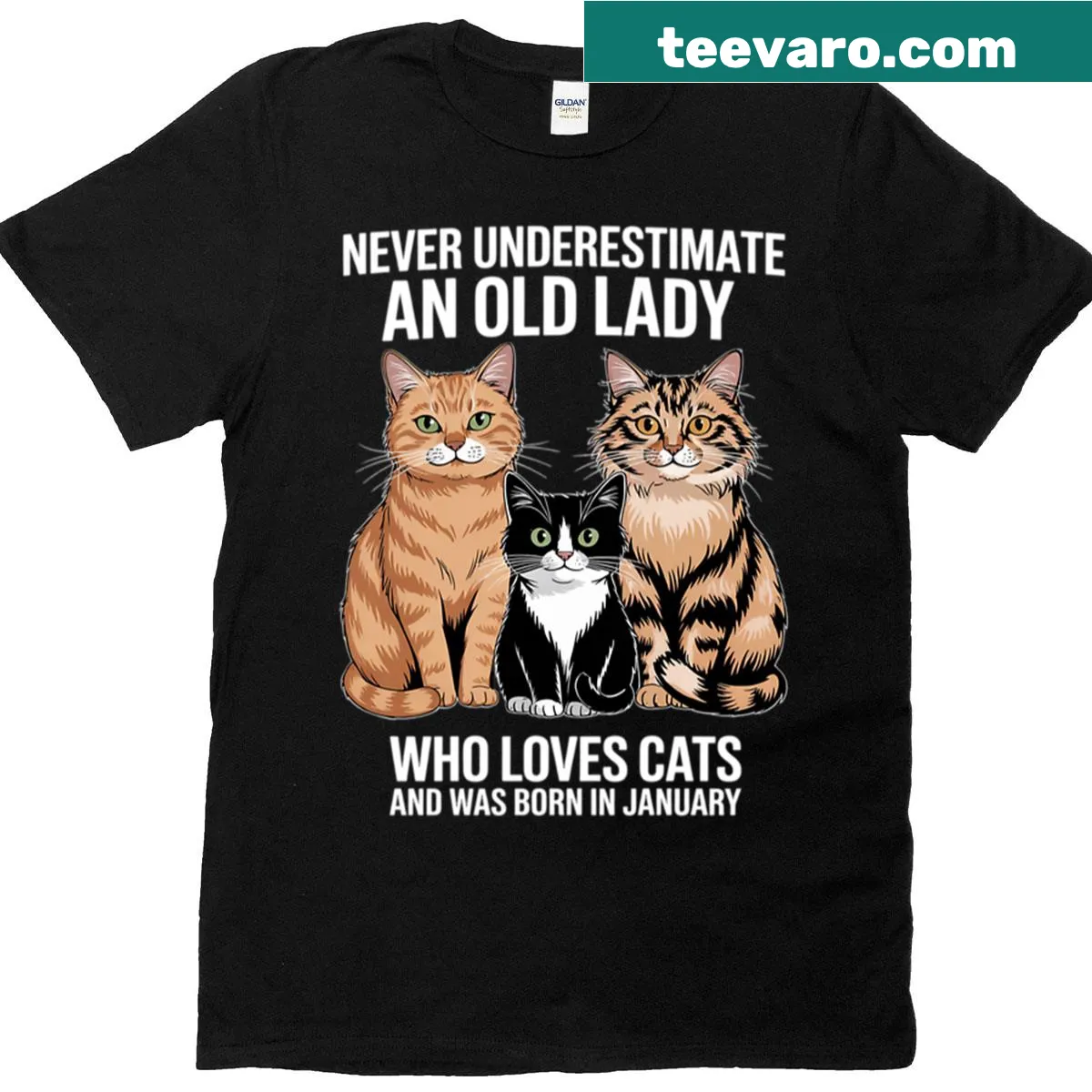 Illustrated T-shirt with sentiment about grandmas and cats — on a men's t-shirt