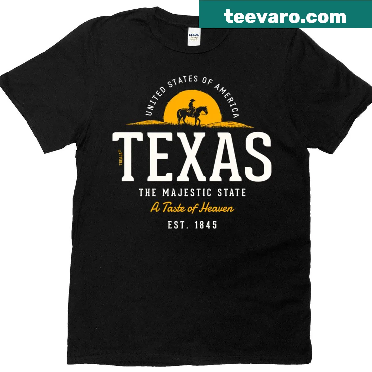 Retro Texas graphic T-shirt with vintage styling — on a men's t-shirt