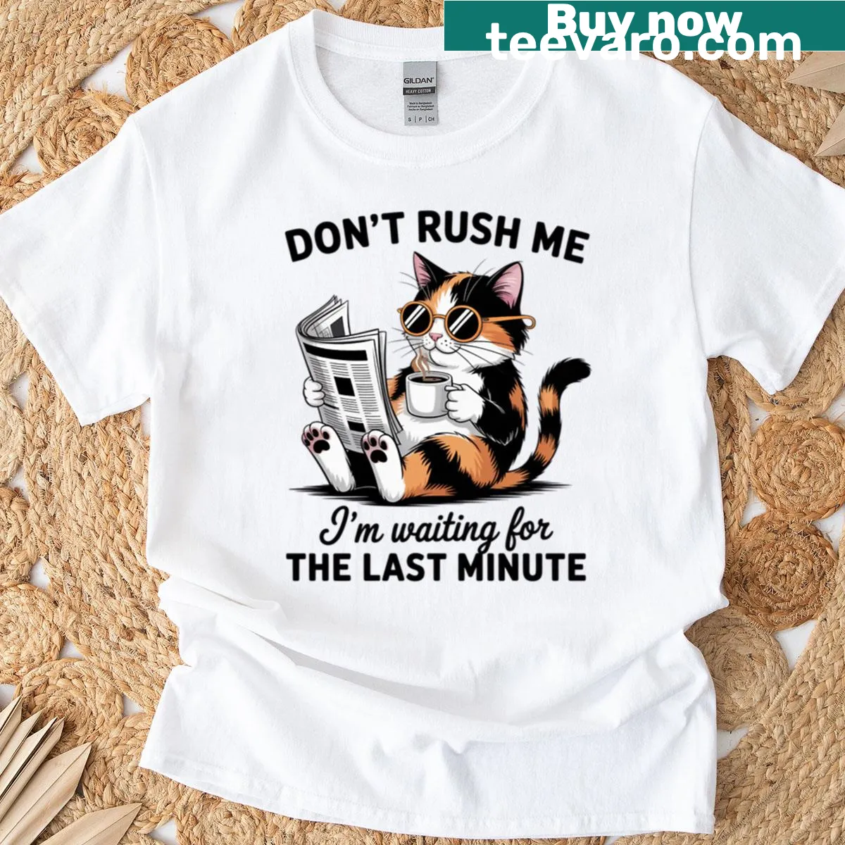 Sarcastic cat humor t-shirt with a witty saying — on a men's t-shirt