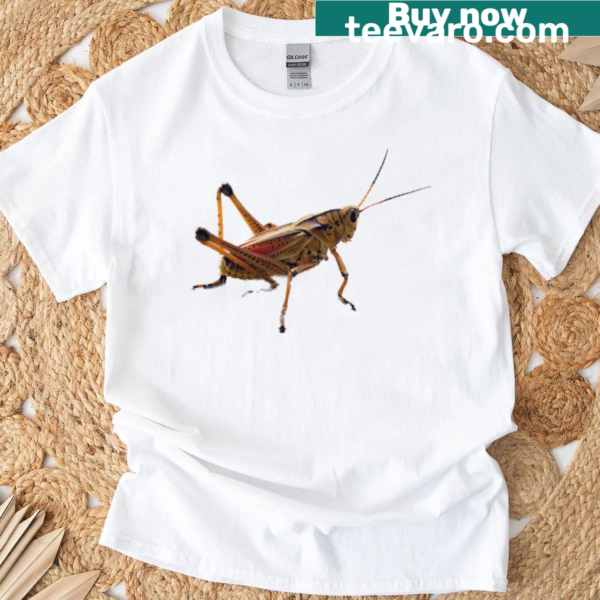 Graphic of a grasshopper in the Florida Everglades — on a men's t-shirt