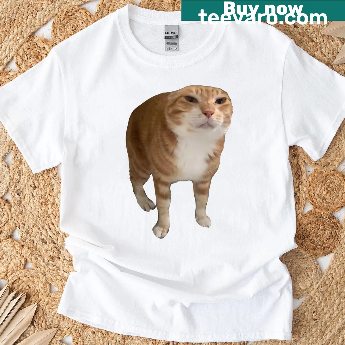 Funny cat meme T-shirt for cat lovers — on a men's t-shirt