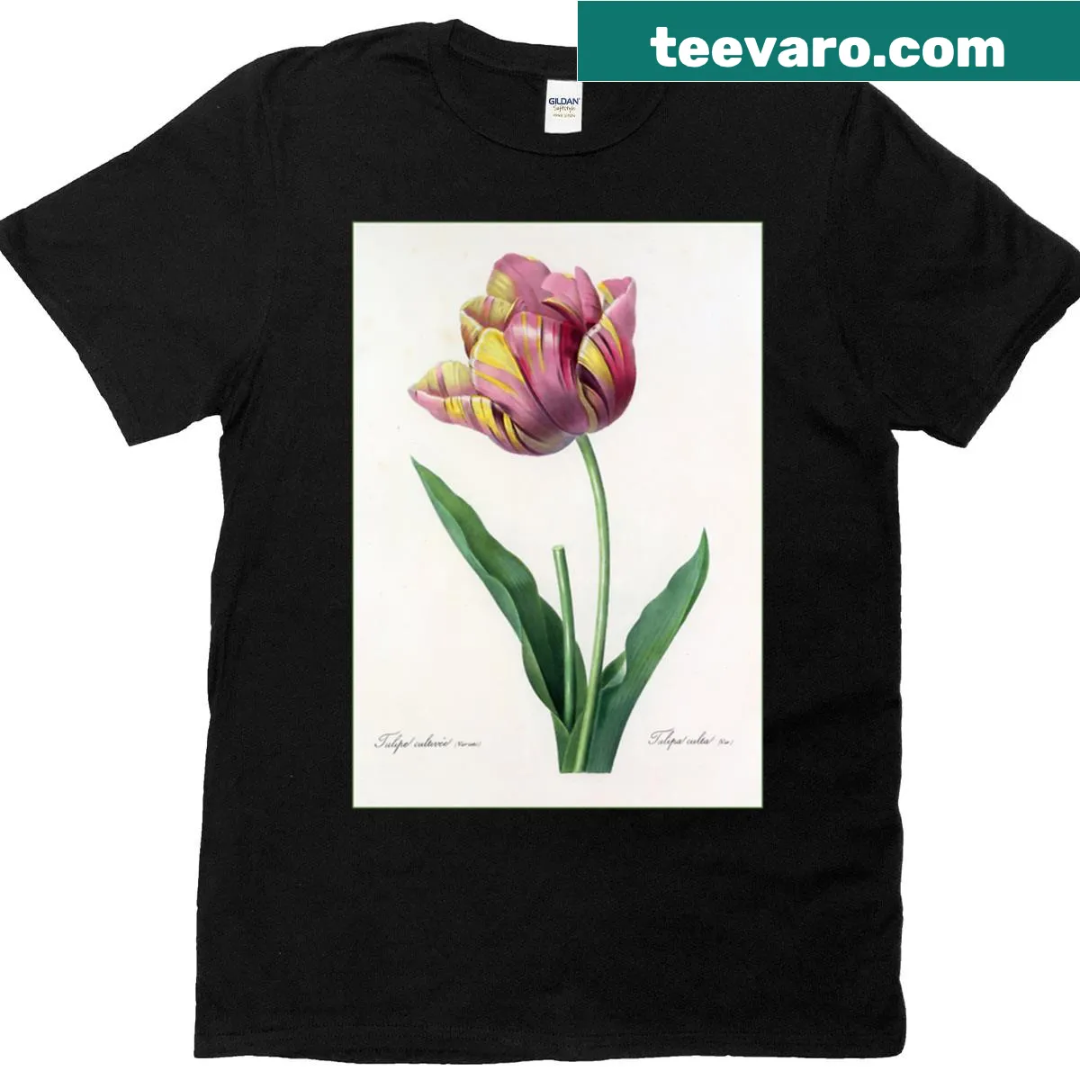 Botanical print t-shirt featuring tulips inspired by Pierre-Joseph Redout — on a men's t-shirt