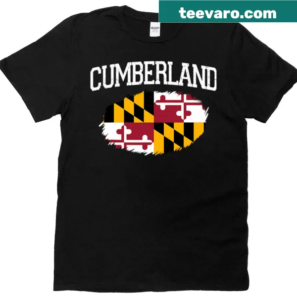 Vintage Maryland flag graphic on a t-shirt