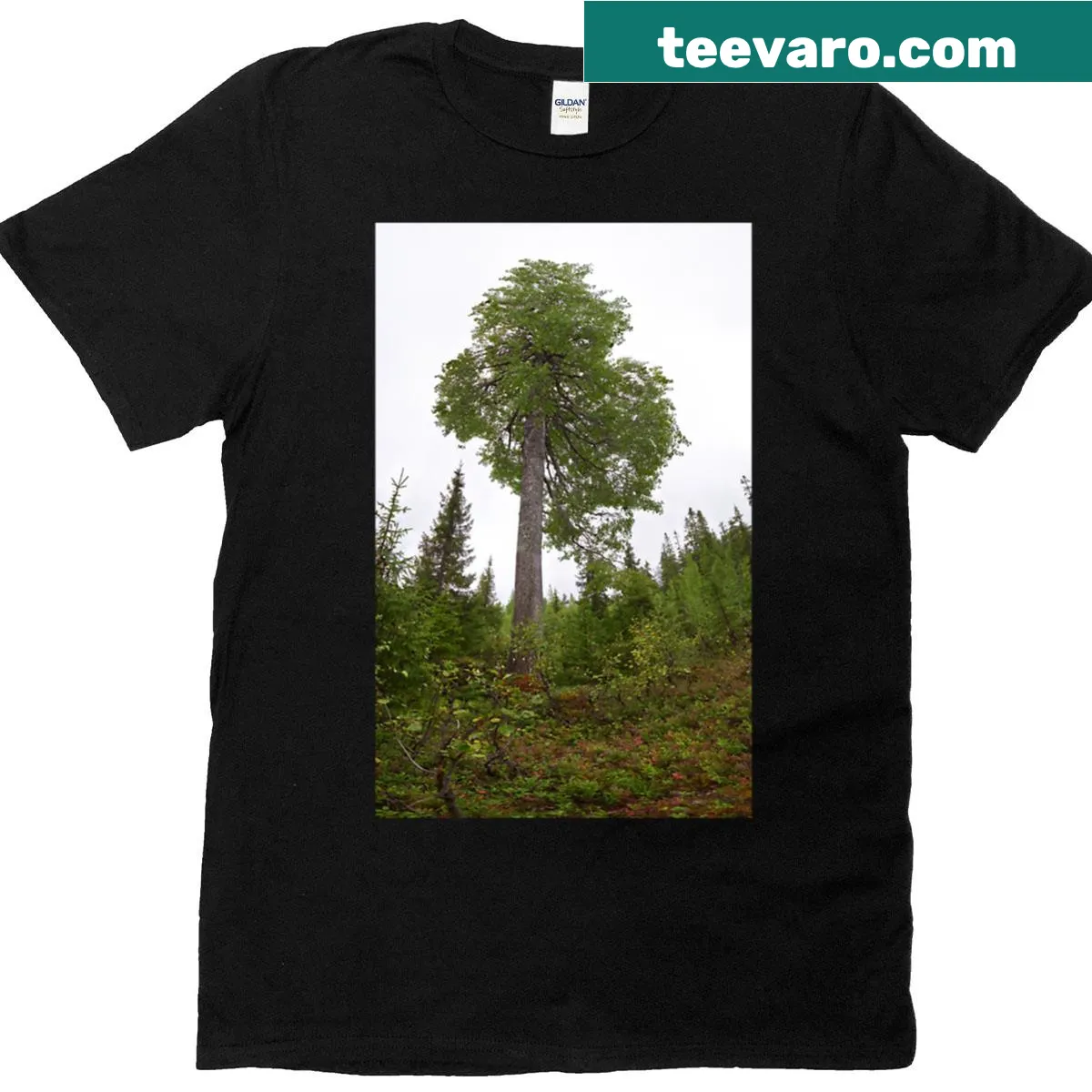 Nature-themed T-shirt celebrating the height of an Aspen — on a men's t-shirt