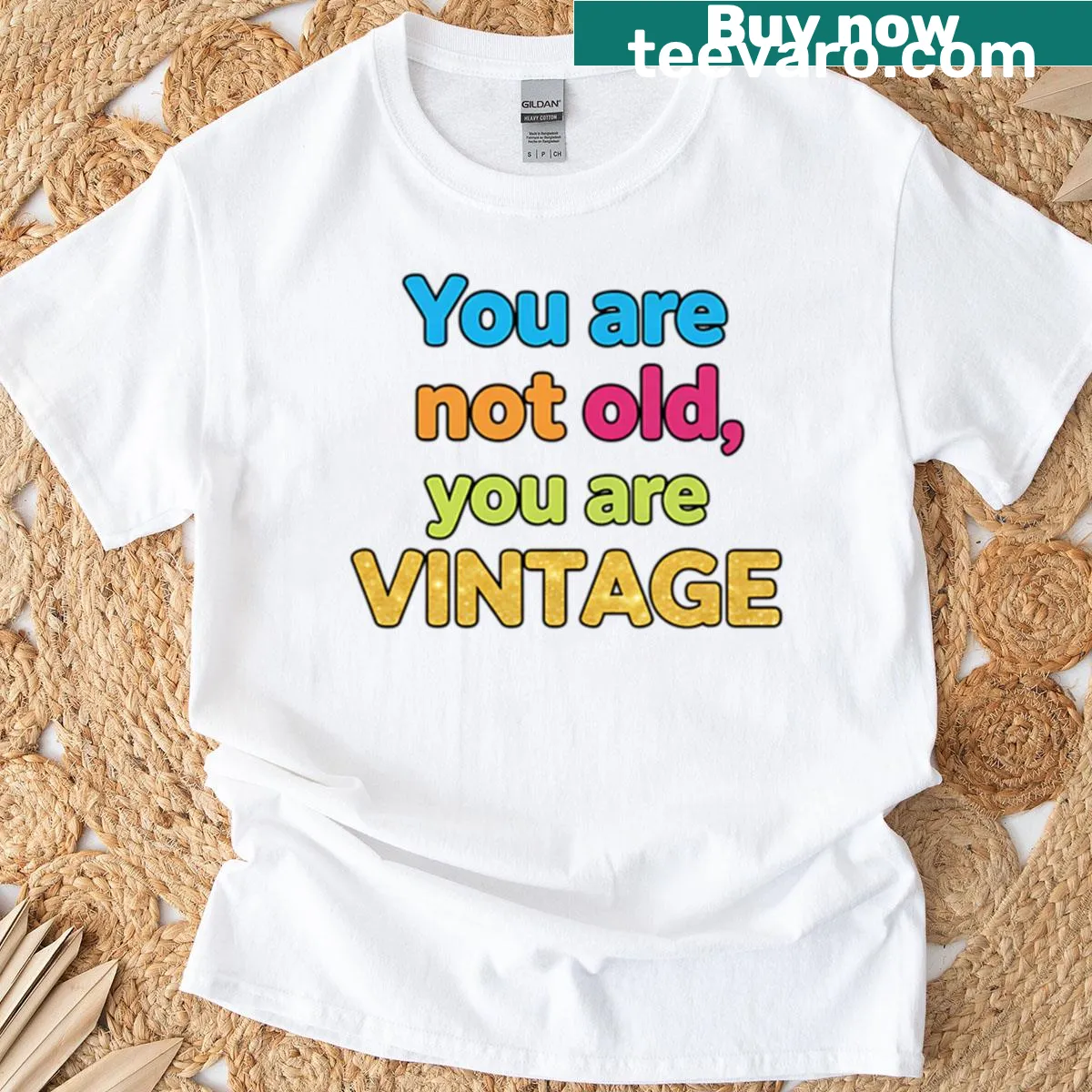 Sarcastic vintage-style t-shirt with the phrase 'You Are Not Old You Are Vintage' — on a men's t-shirt