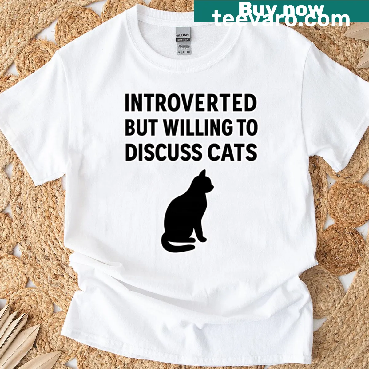 Funny oversized t-shirt with a cat quote for introverts — on a men's t-shirt