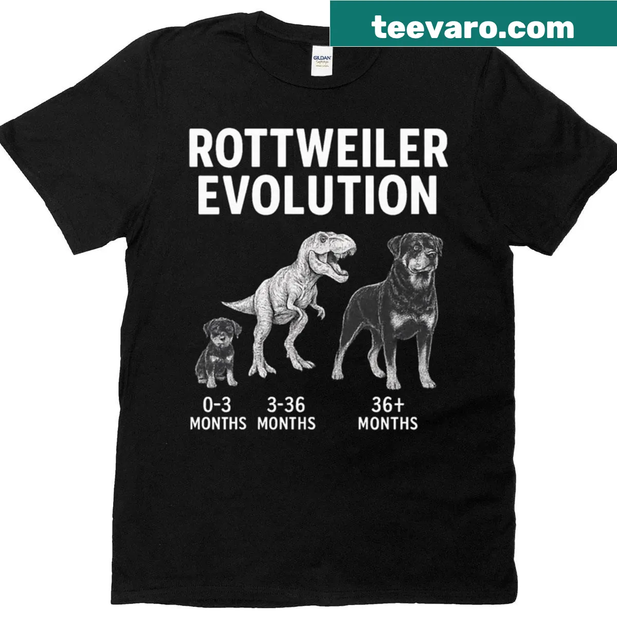T-shirt illustrating the evolution of the Rottweiler breed — on a men's t-shirt