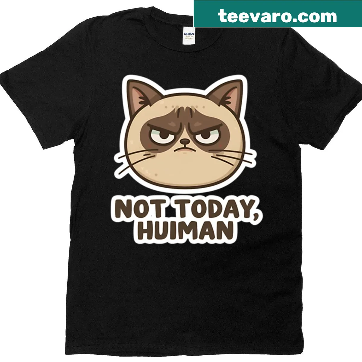 Grumpy Cat t-shirt with 'Not Today Human' text — on a men's t-shirt