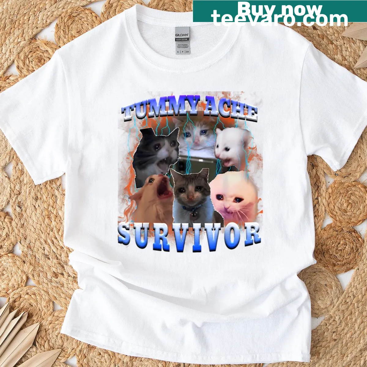 Funny t-shirt with a cat meme about surviving a tummy ache — on a men's t-shirt